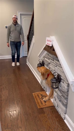 Waiting patiently for our walk! 🐶🚶‍♂️ #DogLovers #WaitingGame | Daniel Kingston