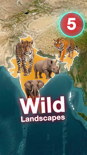 7 Most Incredible Wildlife Destinations On Earth 🐯 #nature #animals #shorts