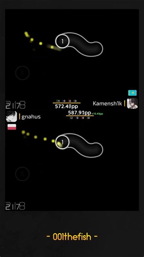 Kamensh1k vs gnahus! // Songs Compilation IV (Sotarks) [Marathon] +HDDT #osu #osugame