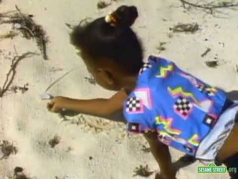 Classic Sesame Street Caribe Kids Draw Island