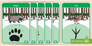 Woodland Animal Footprints Poster Pack