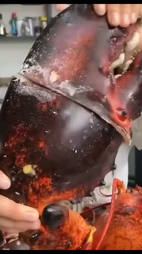 1.9M views · 6.8K reactions | WHEN A REGULAR LOBSTER CLAW JUST WON’T...