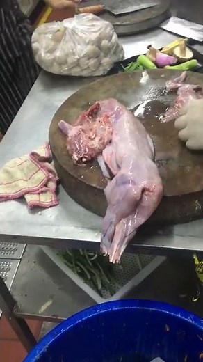 Yaak!!! Chinese People’s They Eat Cat Meat