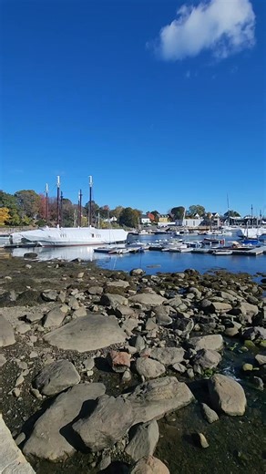 Camden Harbor Maine. This was a recent trip exploring the area 🌊 #mainecoast #ocean #explore #boats | Wayne Bishko