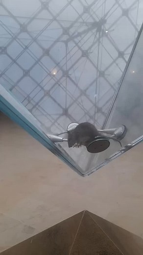 90K views · 962 reactions | La pyramide du Louvre est habitée  @anna_klein_paris • • • #paris #pyramidedulouvre | Vivre Paris | Facebook