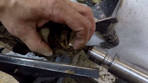 How a Silver Stump Became a Striking Turning