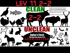 Leviticus 11 Clean And Unclean Animals what to eat or not to eat 2-2