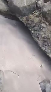 St Lucia News Now on Reels