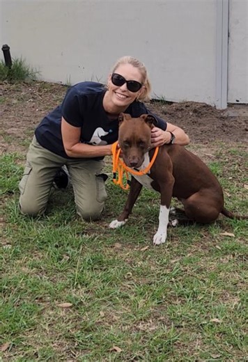 💛A DAY IN THE LIFE﻿💛﻿ Bec from Dog Rescue Newcastle takes us into a day in the life of an animal shelter volunteer. Volunteers are the heartbeat of hope at rescues all around Australia, dedicating their time to giving thousands of pets a second chance at life. This Christmas, you can help make their life-changing work possible by making a donation to the Petbarn Foundation Tree of Hope Appeal. Together, we can bring shelter pets one step closer to finding their forever home. You can make a $3,