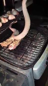 Cooking rattlesnake on a Grill