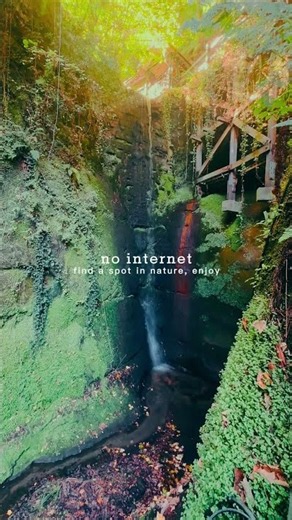 No Internet, Just Nature 💧 (Peaceful Digital Detox)