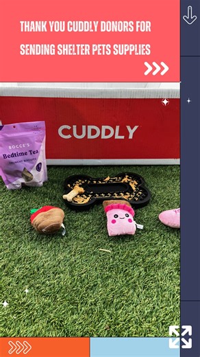 We are so grateful to CUDDLY and every single supporter who has sent much-needed shelter supplies to help keep our animals enriched, happy, and healthier. Your generosity truly makes a difference in their daily lives. Just ask Duncan #A1274206 — he is clearly loving the new lick mats and toys! 🐶🧡 Enrichment items like these help reduce stress, provide mental stimulation, and bring so much joy to dogs while they wait for their forever homes. Because of you, tails are wagging a little more and s