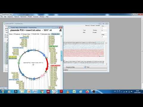 Serial Cloner tutoriel-2-Digestion enzymatique virtuelle et choix des sites de restriction