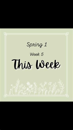 What does our provision look like this week? Come and have a look 🧐 #classroom #eyfs #setup #earlyyears #earlyyearsideas