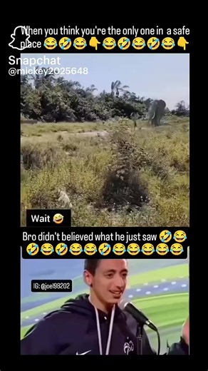 Titus (@titusaranz)’s videos with original sound - Titus