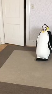 Doguin is also getting ready for the new Ep on the 11.10.24 🐶🐧 #psytrance #rave #psyfestival #trancemusic #dog #penguin | Organic Soup