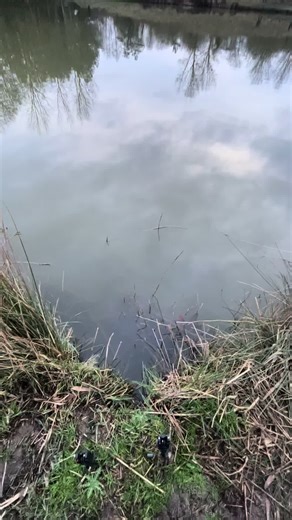 Epic February Fishing Experience at Kent Carp Fishing