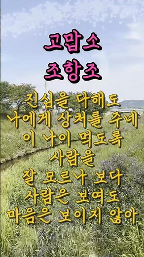 크으으으….역시🩵조항조노래,고맙소,트로트,트롯,7080노래,5060노래,드라이브노래