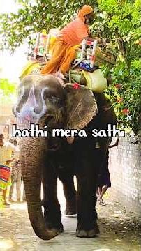 #viralshorts hathi mere sathi 😍😍🥰🥰😘😘🐘🐘🐘🐘🐘🐘