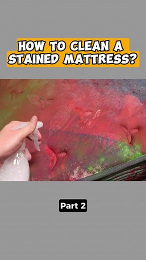 How to clean a stained mattress - P2 #howtobasic #how #to #clean #a #stained #mattress