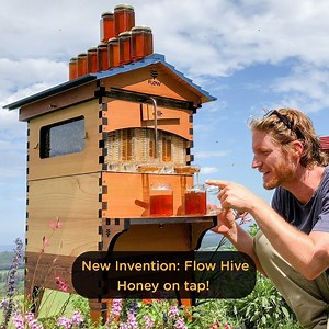 5.1K reactions · 4.2K shares | This new invention has changed the way you harvest honey from a bee hive. | Flow Hive | Facebook