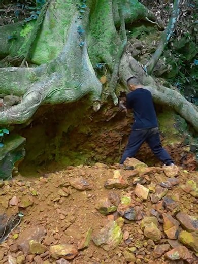 Survival Tips for Primitive Camping Enthusiasts