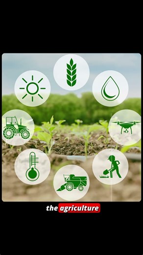 India - US Trade Deal | Trump Said Modi is a Good Friend And Great Leader