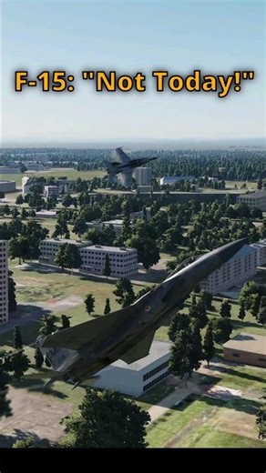 Perfect Reversal F-15C Eagle #dcs #simulation