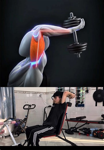 Ultimate Triceps Workout for Fitness Enthusiasts