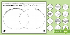 Traditional Aboriginal Bush Tucker Venn Diagram