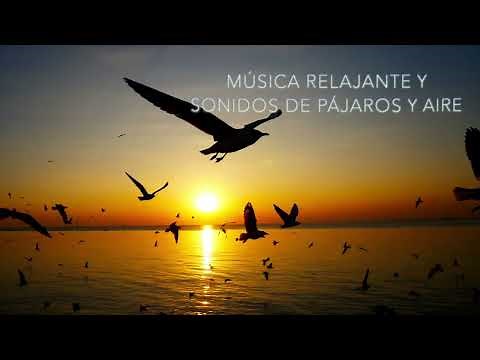 Música Relajante y Sonidos de Pájaros 🦜 [CANTO de las AVES en el BOSQUE]