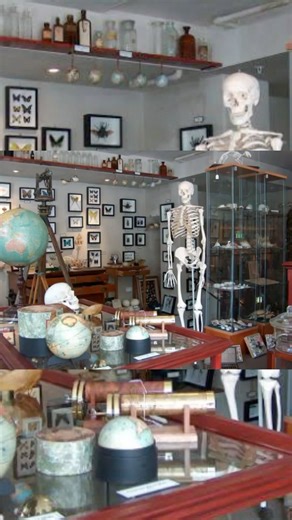Unveiling India’s Eccentric Wonders: Top 5 Bizarre Museums to Explore on International Museum Day! International Museum Day is observed to raise awareness about the importance of museums in society and to celebrate the cultural, educational, and historical significance of these institutions. It is an annual event that takes place on May 18th each year. India is home to several captivating museums that are definitely worth a visit. Prepare to be amazed as we explore a compilation of five distinct