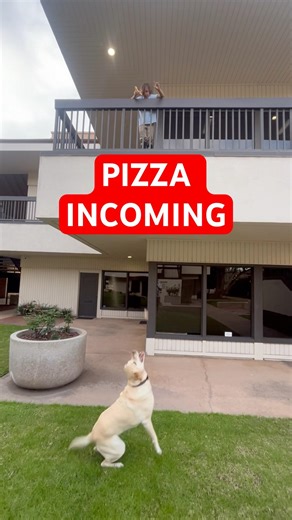 Kid Drops Pizza From 2nd Floor… Watch This