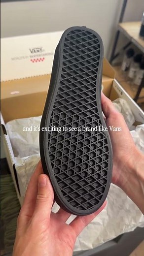 Vans Skate Loafer Shoes