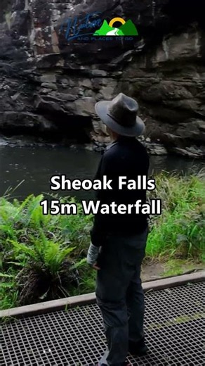 Hidden Cave & Secret Waterfall: Great Ocean Road’s Best Kept Secret! 🌿✨ #Shorts