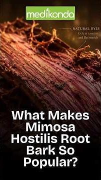 Mimosa Hostilis Root Bark: Why Is It So Popular Worldwide?