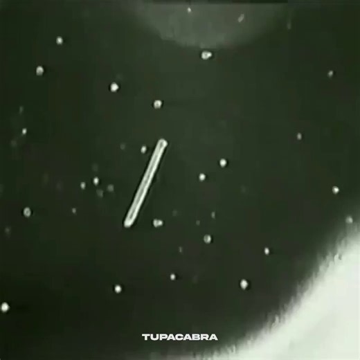 Old NASA video seems to be corroborated by Trump’s new UFO file drop! 🛸The 1996 tether Incident occurred when a 12 mile long tether snapped in space and was immediately swarmed by unidentified orbs of light.This is almost identical to what the Apollo astronauts reported out of their window.