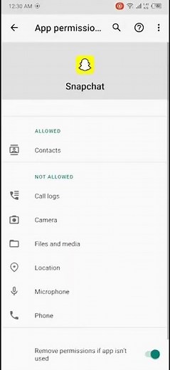 allow camera access snapchat