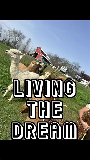 Alpaca Key Farm LLC on TikTok