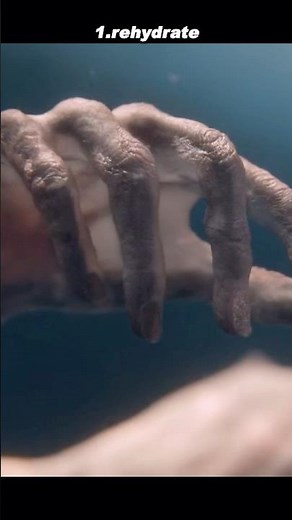 The Unsettling Rebirth of a Follower | 3 Body Problem S1E2 – The Resurrection of the Believer 🔄🤯💀