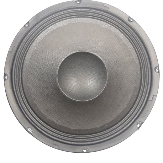 10" Raw Subwoofer for RPG2x10