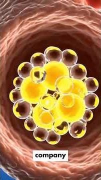 Muscle glycogen explained. #healthawareness #facts #doctor #motivation