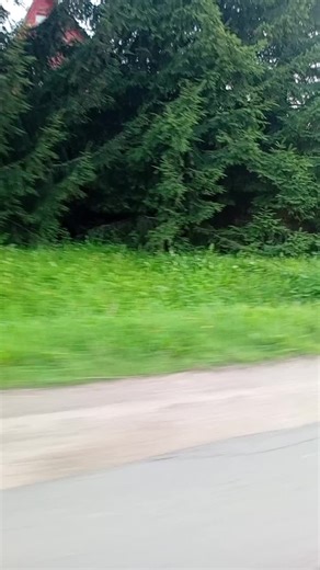 Дишка on TikTok