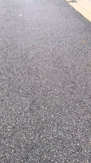 We got these gloomy days, no problem! #Jasonstreeservice #trees #treeservice #servingmetrodetroit #treetrimming #treeremoval #treeremovalexperts #stumps #stumpgrinding #bushremoval #bushtrimming #honest #nearme #reliable #fullyinsured✔️ #livonia | Jason’s Tree Service Llc.