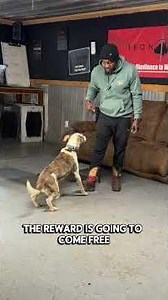 Clicker Training 101