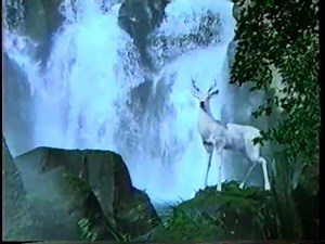 白鹿 山田錦 CM(2001)