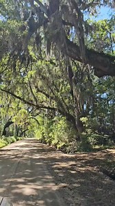 Explore the dirt roads of Liberty County and take in the natural beauty around you, perfect for capturing incredible videos! 🌟 Like this post if you’d love to drive these roads! #ExploreLiberty #naturelovers #dirtroads #travelphotography #nature | Explore Liberty