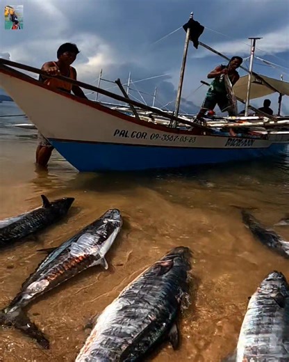 Pera nanaman | Native Channel