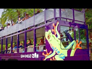 San Diego Zoo Bus Tour Double Decker 2021 | Full Tour | California