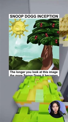 SNOOP DOGG INCEPTION! 🍃🌀#meme #trippy